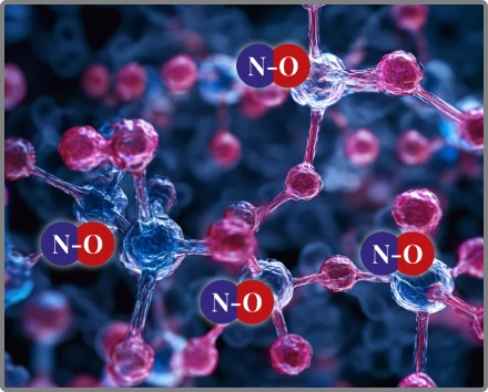 how nitric boost works